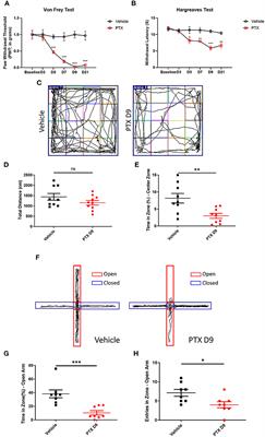 Glutamatergic Neurons in the Amygdala Are Involved in Paclitaxel-Induced Pain and Anxiety